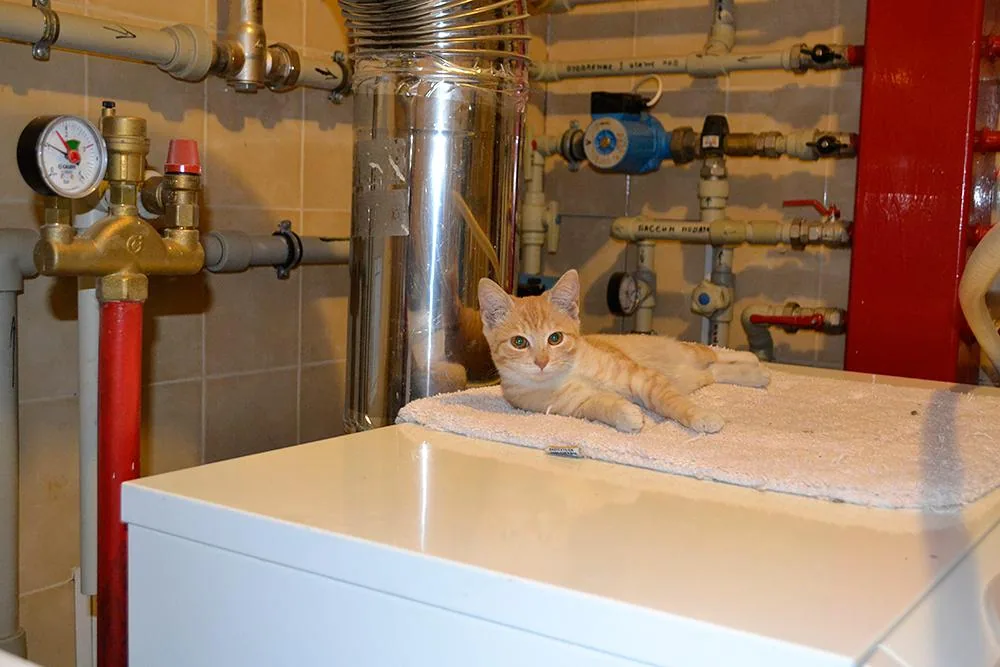 Трудовые будни — Бытовые котельные — миниатюра 6