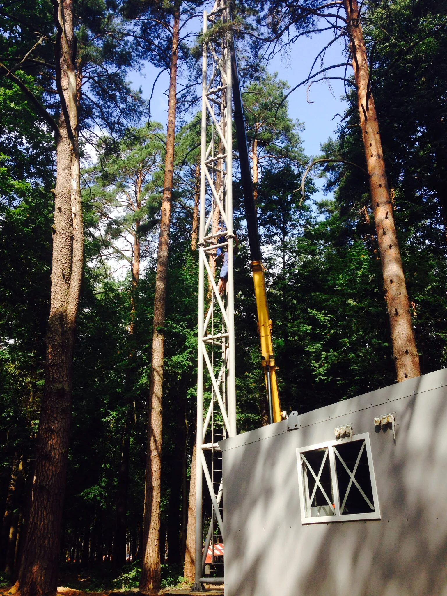 Федерация еврейских общин России — миниатюра 4